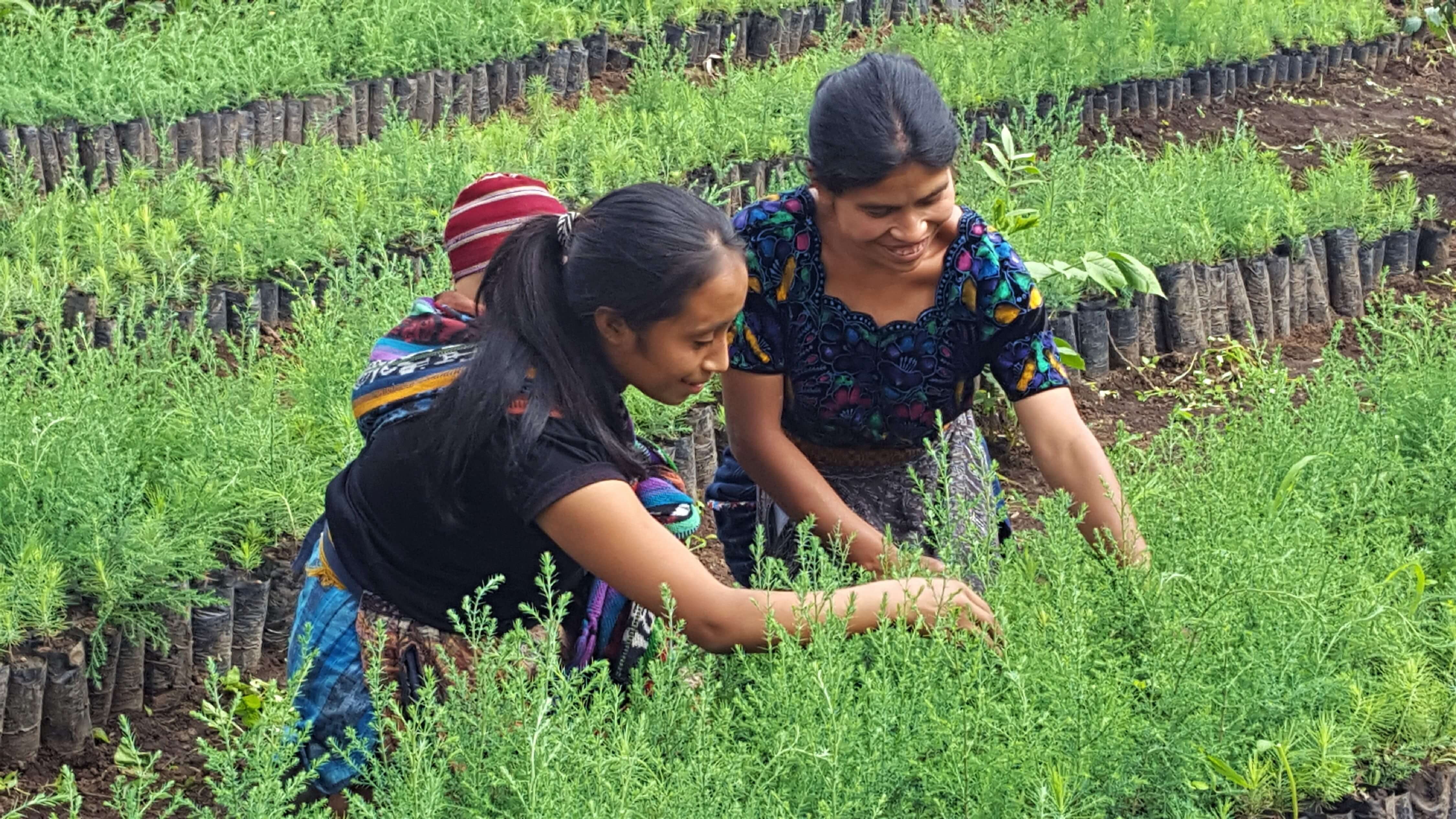 Farmer Training